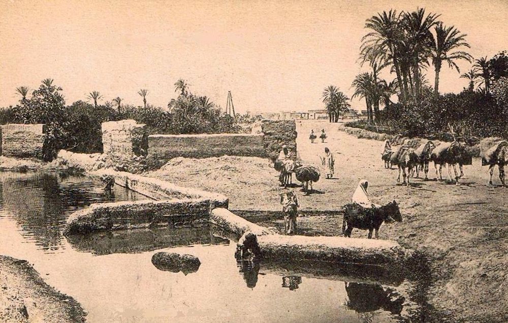 Maroc - 1920 (75)