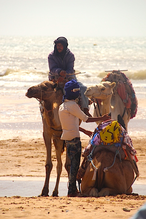 Maroc