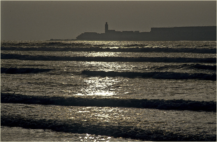 MAROC - ESSAOUIRA - AM ATLANTIK (18)