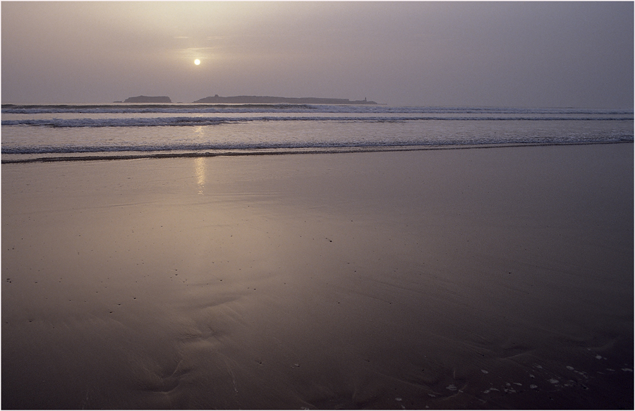 MAROC - ESSAOUIRA - AM ATLANTIK (20)