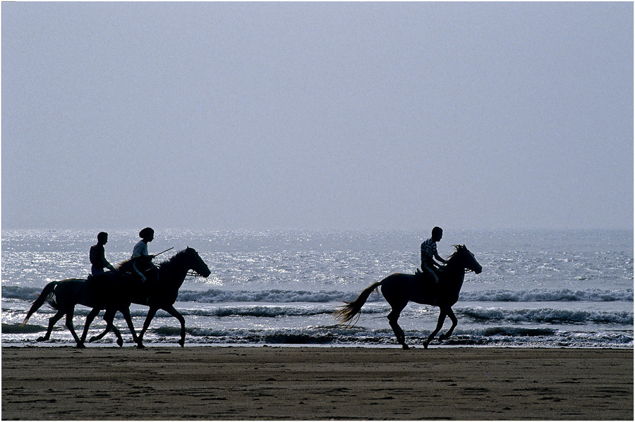 MAROC - ESSAOUIRA - "AM ATLANTIK" (86)