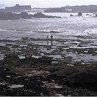 MAROC - ESSAOUIRA - AM MEER (12)