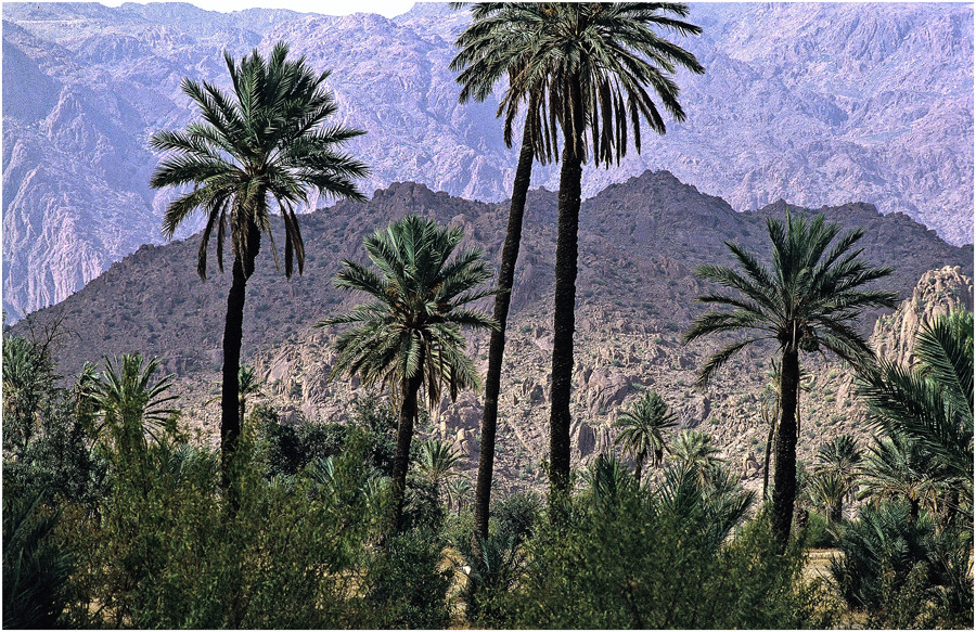 MAROC - "IM TIEFEN SÜDEN"