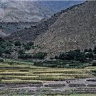 MAROC - MARRAKESCH - "HINAUF NACH MT. TUPKAL"