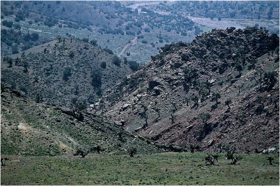 MAROC - MARRAKESCH - TIZ IL TAIT - QUARZAZADE - ÜBER DIE BERGE (18)