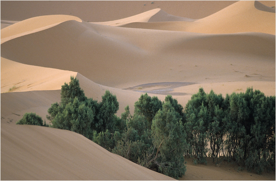 MAROC - "MERZOUGA - DIE WÜSTE KOMMT" (26 2)