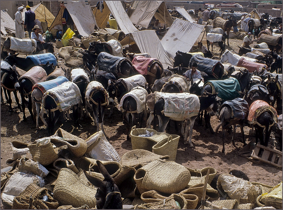 MAROC - OKKIMEDEN - MARKTTAG (10)