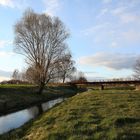 Marode Bahnbrücke über das Löbauer Wasser