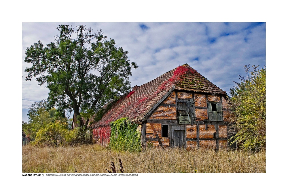 MARODE IDYLLE (1)