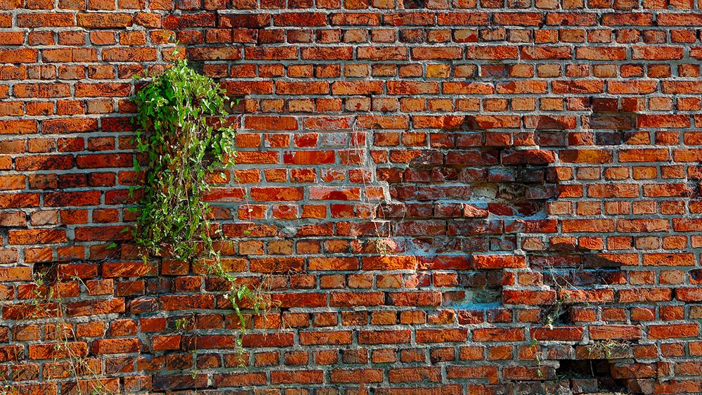 Marode Mauer