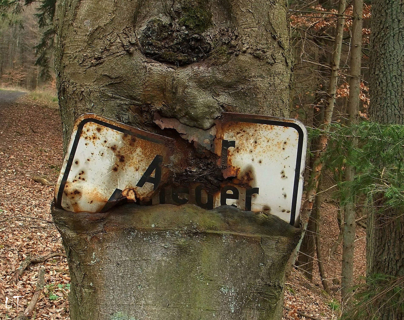 marode, witzig, wie`s Euch gefällt