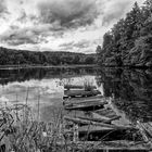 Maroder Steg am Eulensee