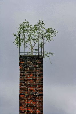 marodistanisches richtfest