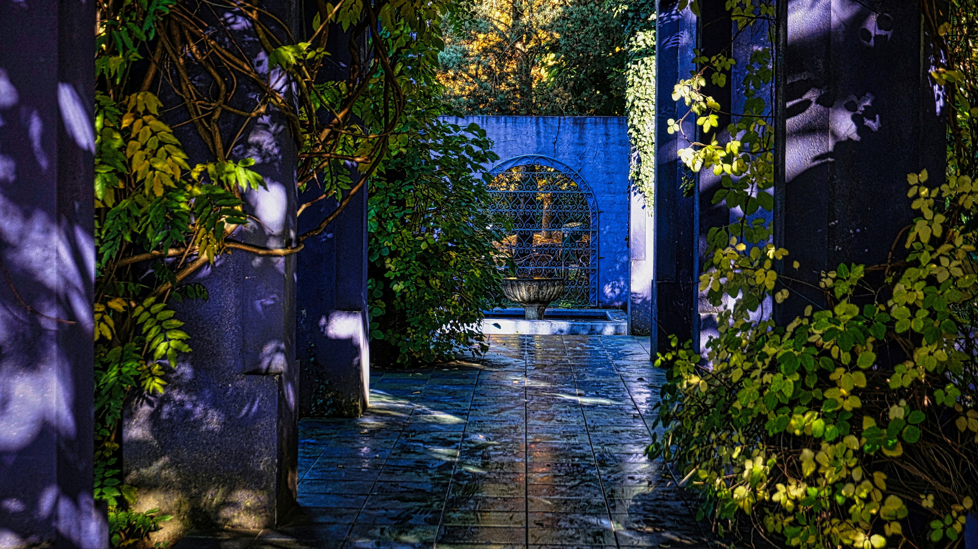 Marokanischer Garten Foto & Bild projekte, 1 montag blue monday
