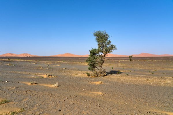 Marokkanische Impressionen (12)