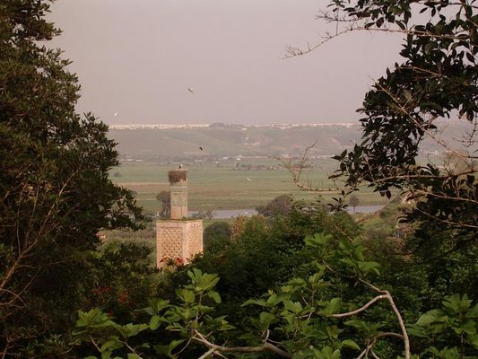 marokkanische Storchenlandschaft