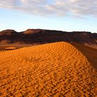 Marokko 19: Wüstenlandschaft bei Zagora