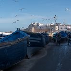 Marokko [22] – Essaouira 2