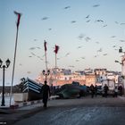 Marokko [27] – Essaouira 5