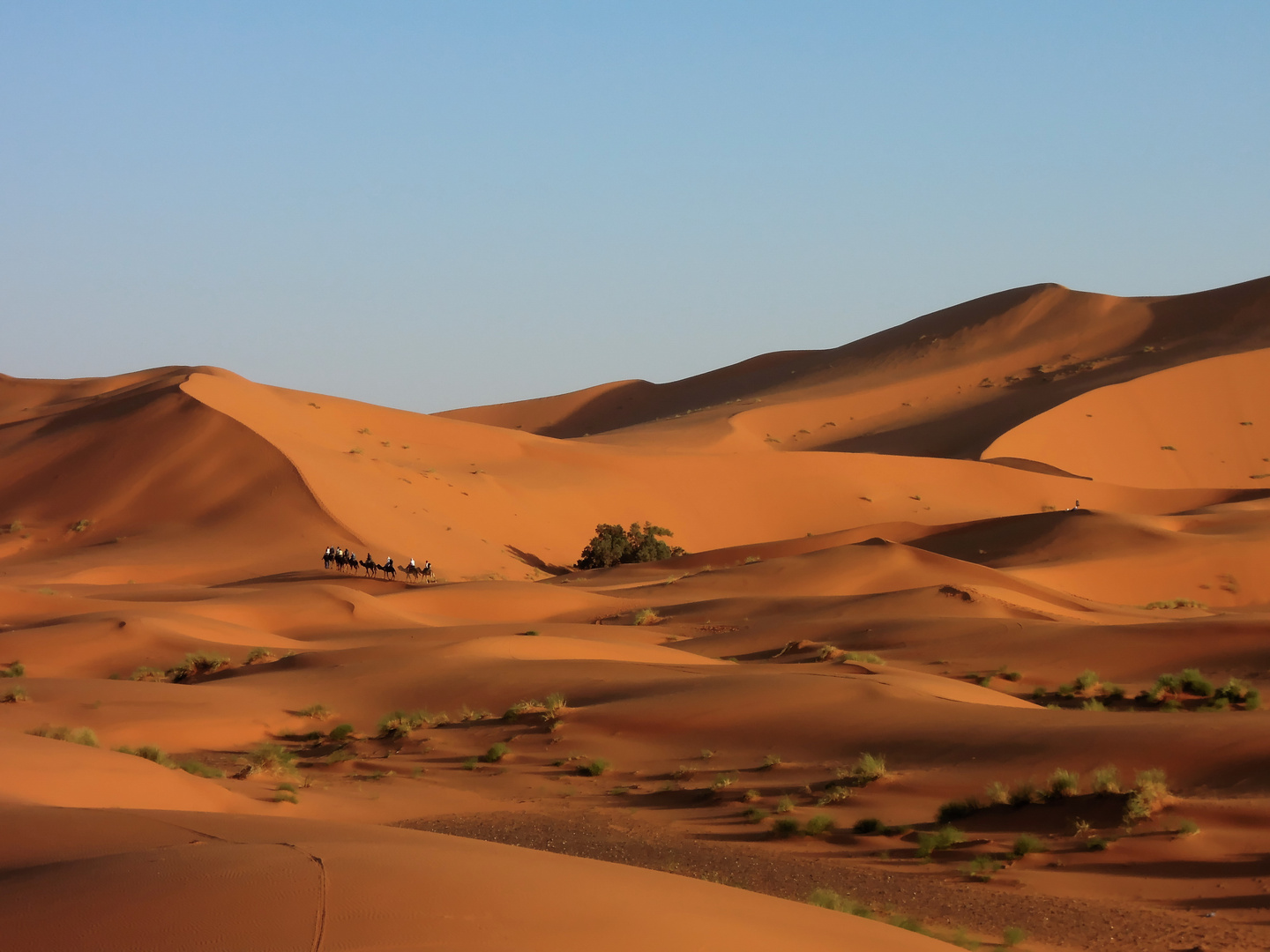 Marokko; Erg Chebbi