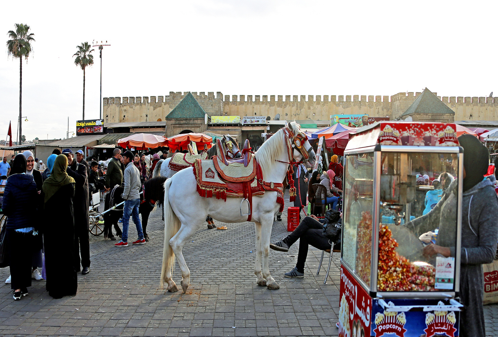 Marokko -  Fes