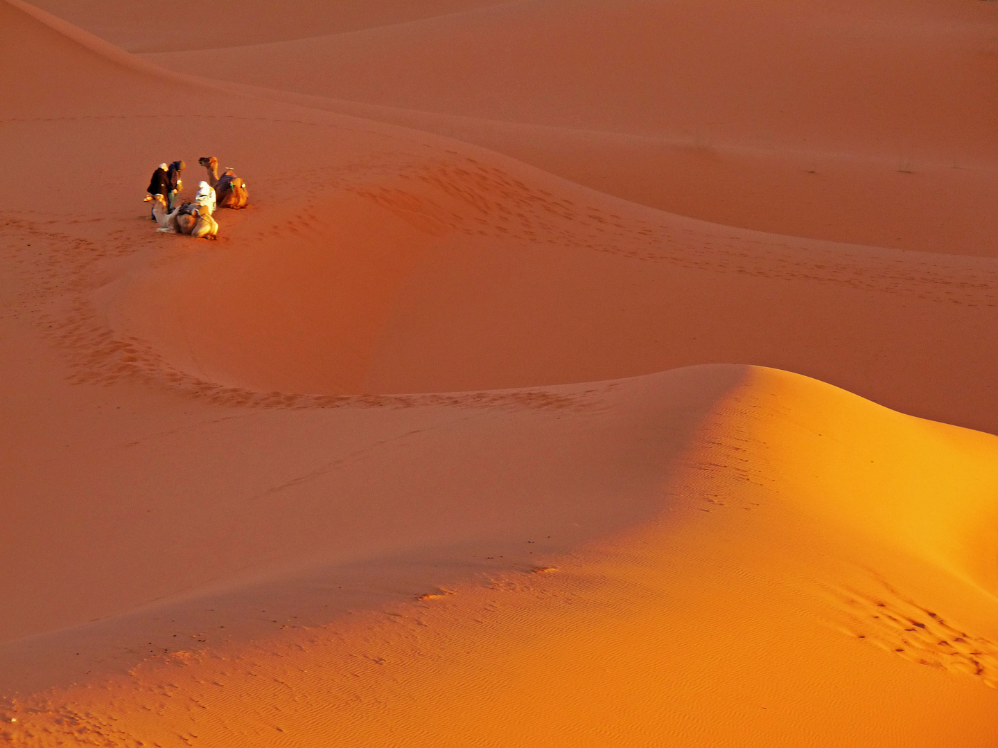 Marokko - *Gelassenheit und Stille in der Sahara*