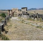 Marokko: Hauptstrasse in Volubilis Bild 12