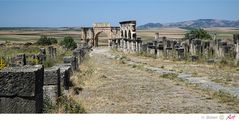 Marokko: Hauptstrasse in Volubilis Bild 12