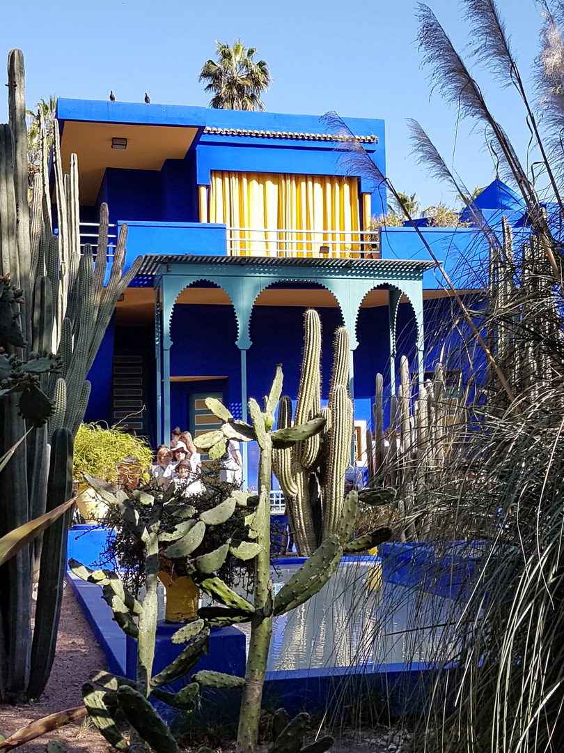 Marokko im Frühling - Marrakesch: Im Jardin Majorelle ...