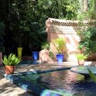 Marokko - Im Jardin Majorelle