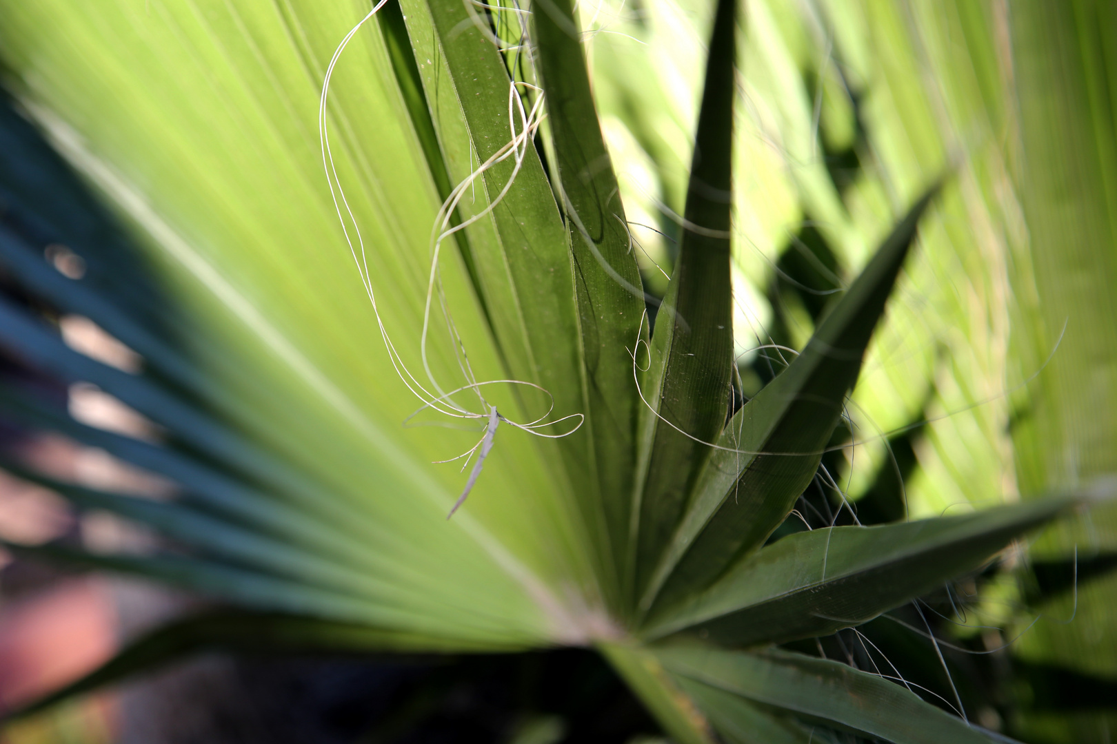 Marokko ,Licht und Schatten