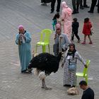 Marokko Menschen + Tiere -3-
