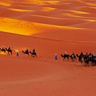 Marokko - *Touristenkarawane in der Sahara*