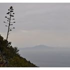 Marokko - von Gibraltar aus gesehen