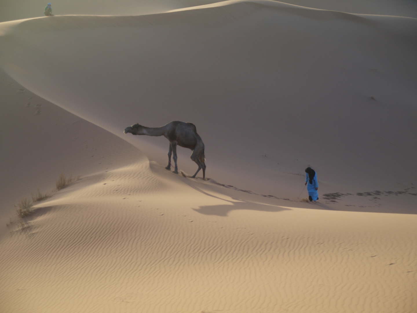 Marokko / Wüste