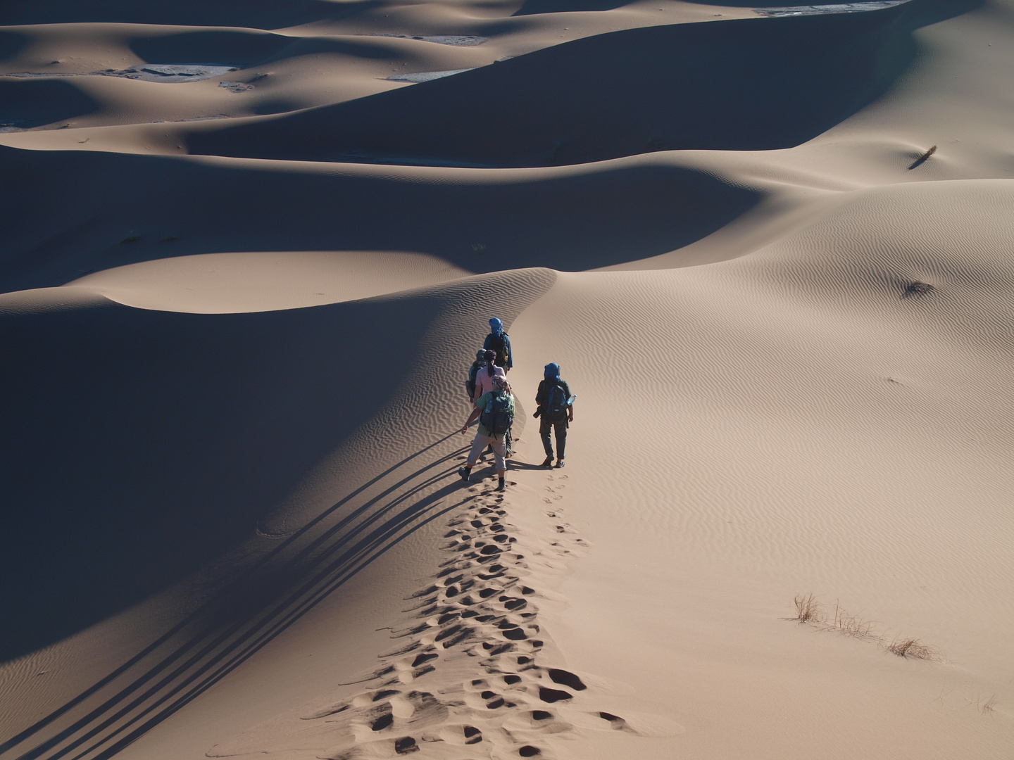 Marokko / Wüste