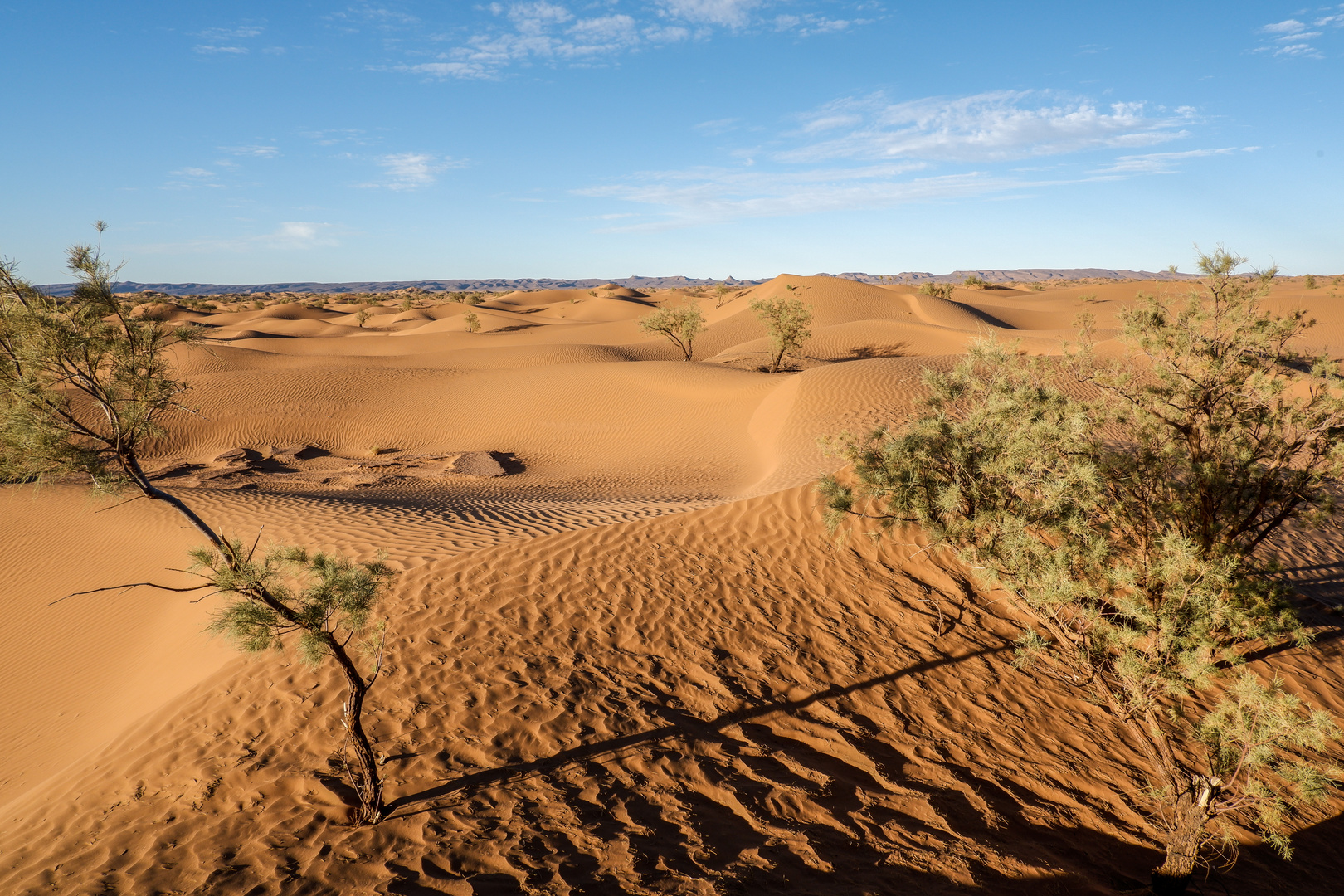 Marokko Wüste 