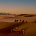 Marokko, Zagora Desert