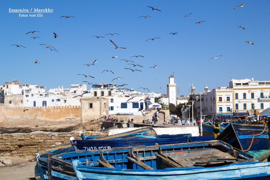 Marokko/Essaouira