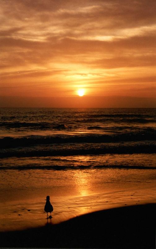 Maroochy Beach Sunrise QLD Australia