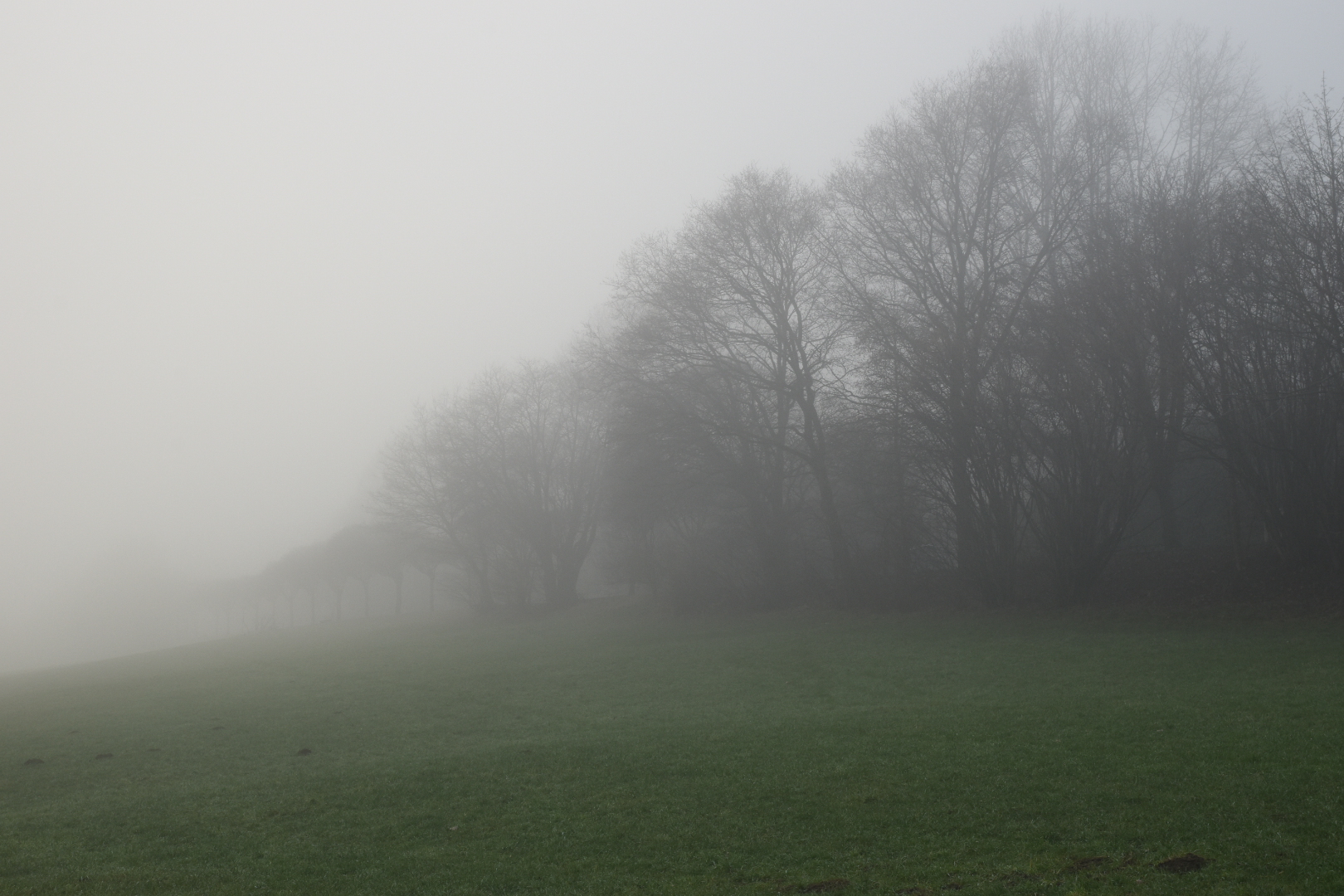 Marpe im Nebel (1)