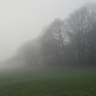 Marpe im Nebel (1)