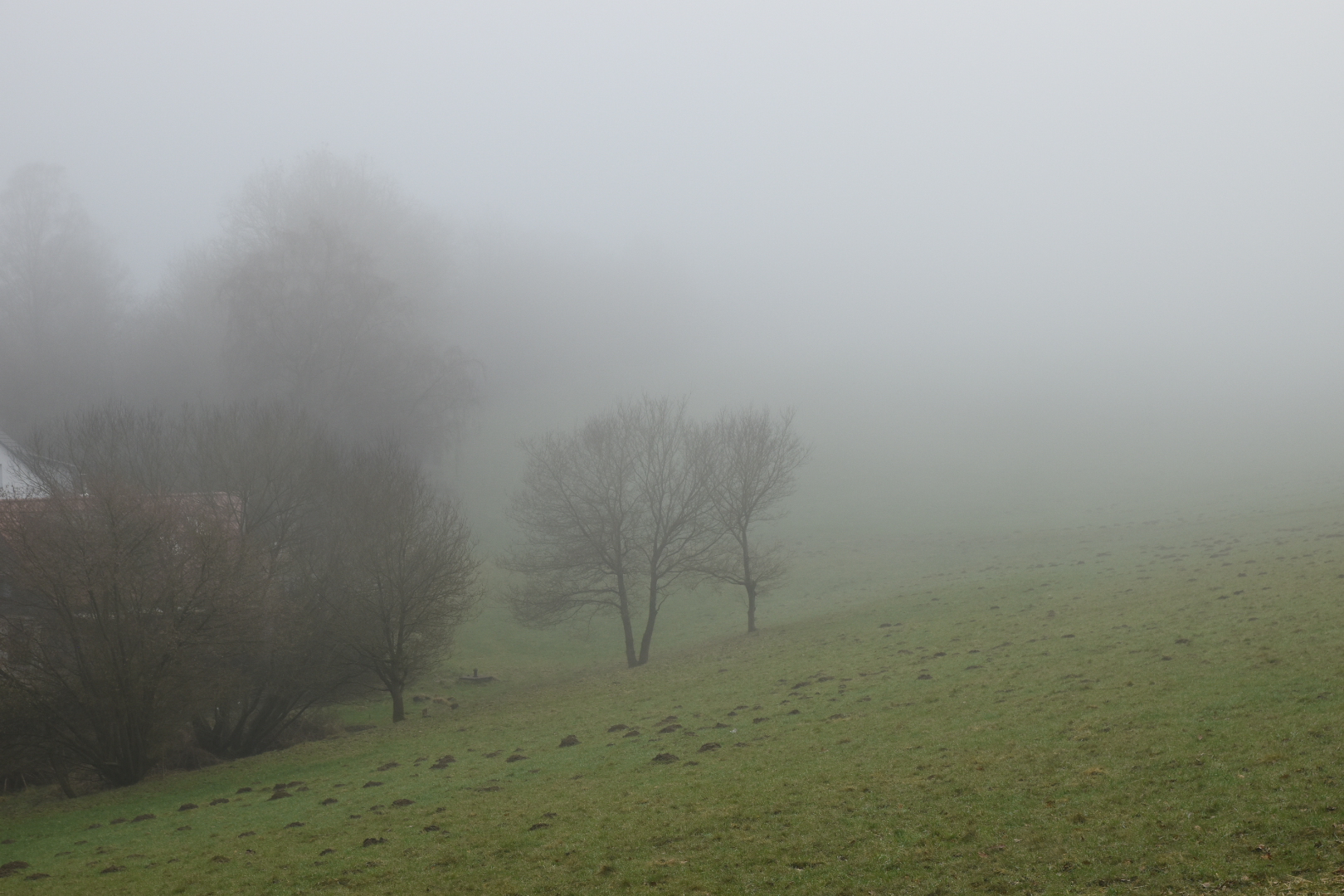 Marpe im Nebel (2)