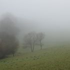 Marpe im Nebel (2)