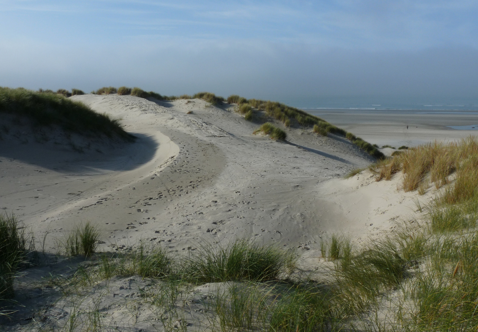 Marquenterre - Baie de Somme