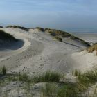 Marquenterre - Baie de Somme