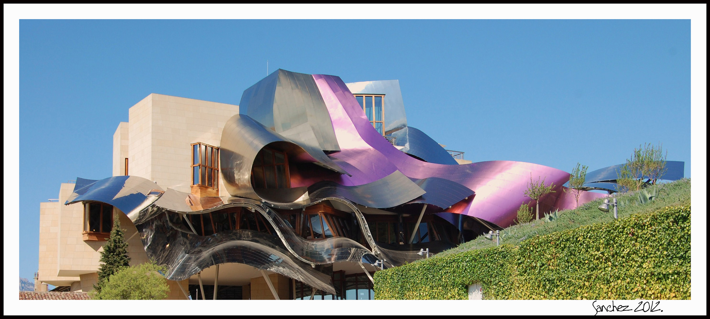 Marques de Riscal. "La cepa"