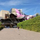 Marques_de_Riscal_2018