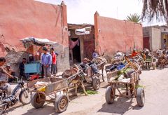 Marrakech 04/2011: Strassenszene (2)