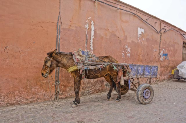 Marrakech